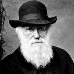 Charles Darwin referente al Desarrollo - Consultoría 411